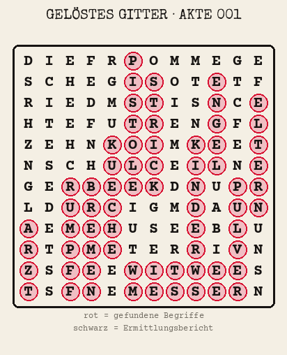 Gelöstes Buchstabengitter zu Akte 001: gefundene Begriffe rot markiert, übrige Buchstaben ergeben den Ermittlungsbericht