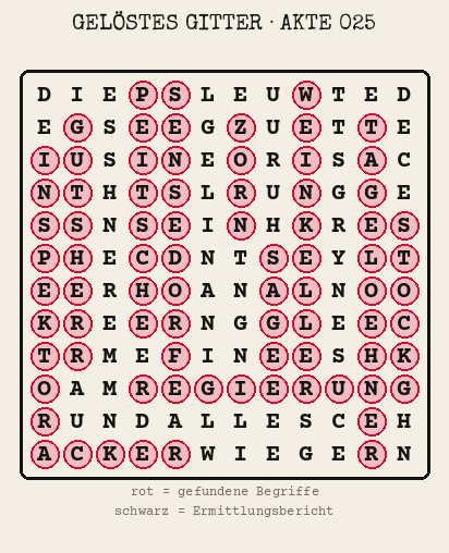 Gelöstes Buchstabengitter zu Akte 025: gefundene Begriffe rot markiert, übrige Buchstaben ergeben den Ermittlungsbericht